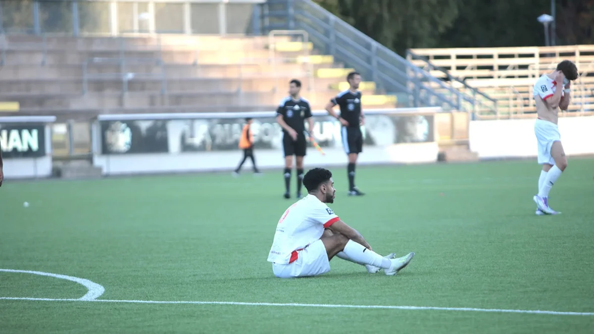 Serieledarnas effektivitet blev Assyriskas fall
